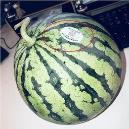 兴化网红吃瓜,揭秘网络红人的真实一面