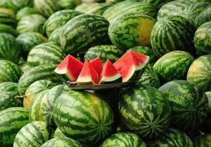 水镇网红事件吃瓜,揭秘网络狂欢背后的真相