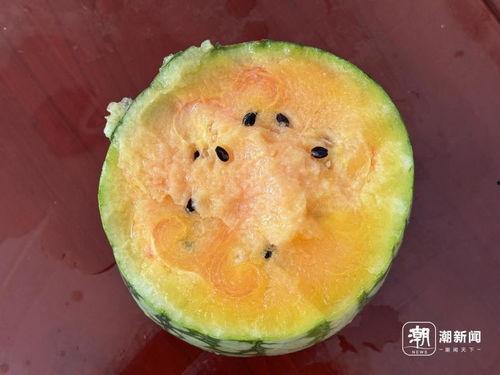 康县网红二饼掰开吃瓜,一瓜两吃，开启直播新潮流