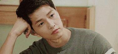 网红吃瓜僧,揭秘网络红人的佛系生活与吃瓜趣事