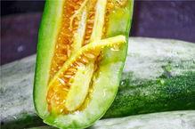 网红专门吃瓜的群